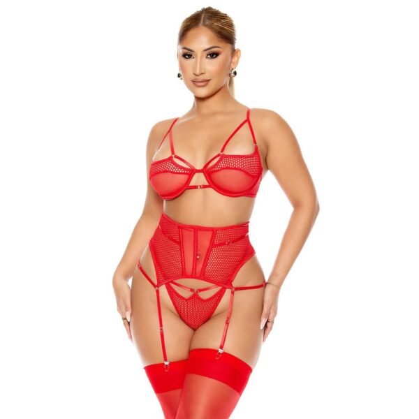 fantezi-file-tul-kadin-jartiyer-kirmizi-takim-5317 Fantezi File Tül Kadın Jartiyer Kırmızı Takım