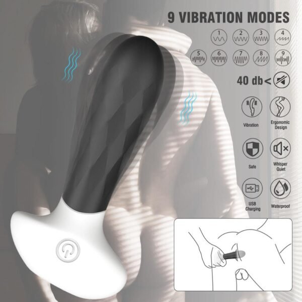 s-hande-dream-rct-siyah-plug-vibrator-4160 S-Hande Dream RCT Siyah Plug Vibratör