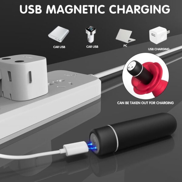 S-Hande Frenzier RCT Rose Plug Vibratör Set