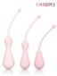 calexotics-inspire-kegel-training-kit-2 Kegel Seti