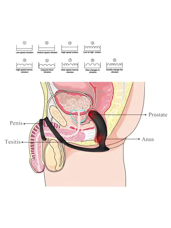 lanco-prostat-ve-penis-halkali-sarjli-anal-masaj-vibratoru-1 NOXXX Halo Penis Halkalı Prostat ve Şarjlı Anal Masaj Vibratörü