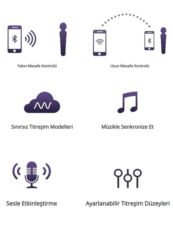 Domi 2 App Controlled