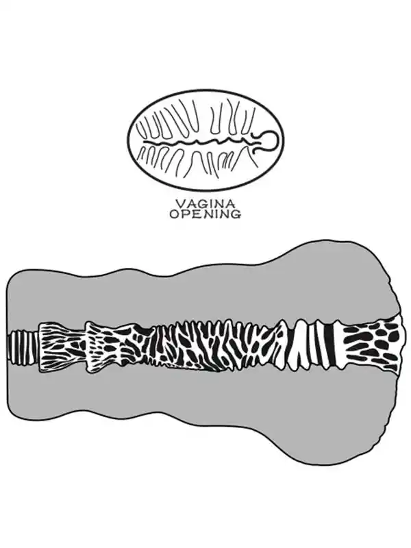 Alien's Pie #2 Mastürbator 23 cm