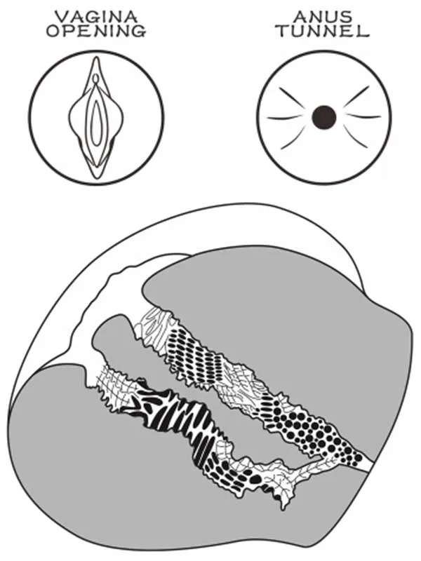lovetoy-streetgirls-bitch-cift-girisli-gercekci-tangali-kalca-2-5-kg-4 Çift Girişli Gerçekçi Tangalı Kalça 2.5 kg