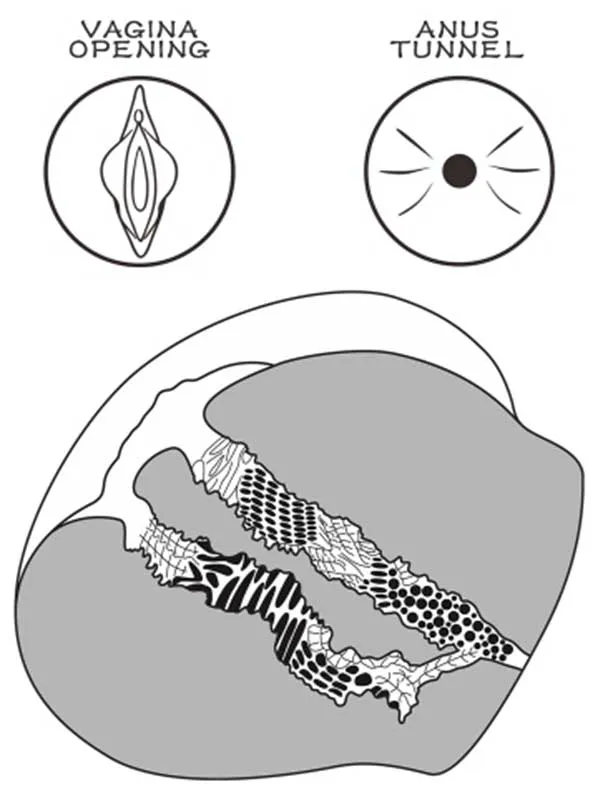 lovetoy-streetgirls-bitch-cift-girisli-gercekci-tangali-siyah-kalca-2-5-kg-2 Çift Girişli Gerçekçi Tangalı Siyah Kalça 2.5 kg