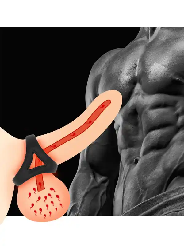 NOXXX Penis ve Testis Halkası